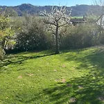 Garten * Singen (Hohentwiel)